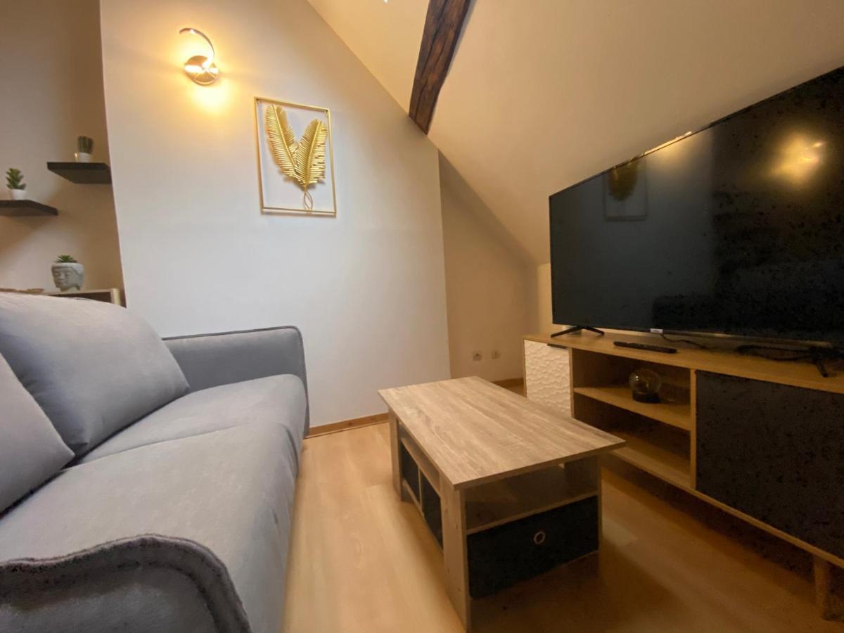 Le Puits Du Bourg Apartment Nevers Exterior foto